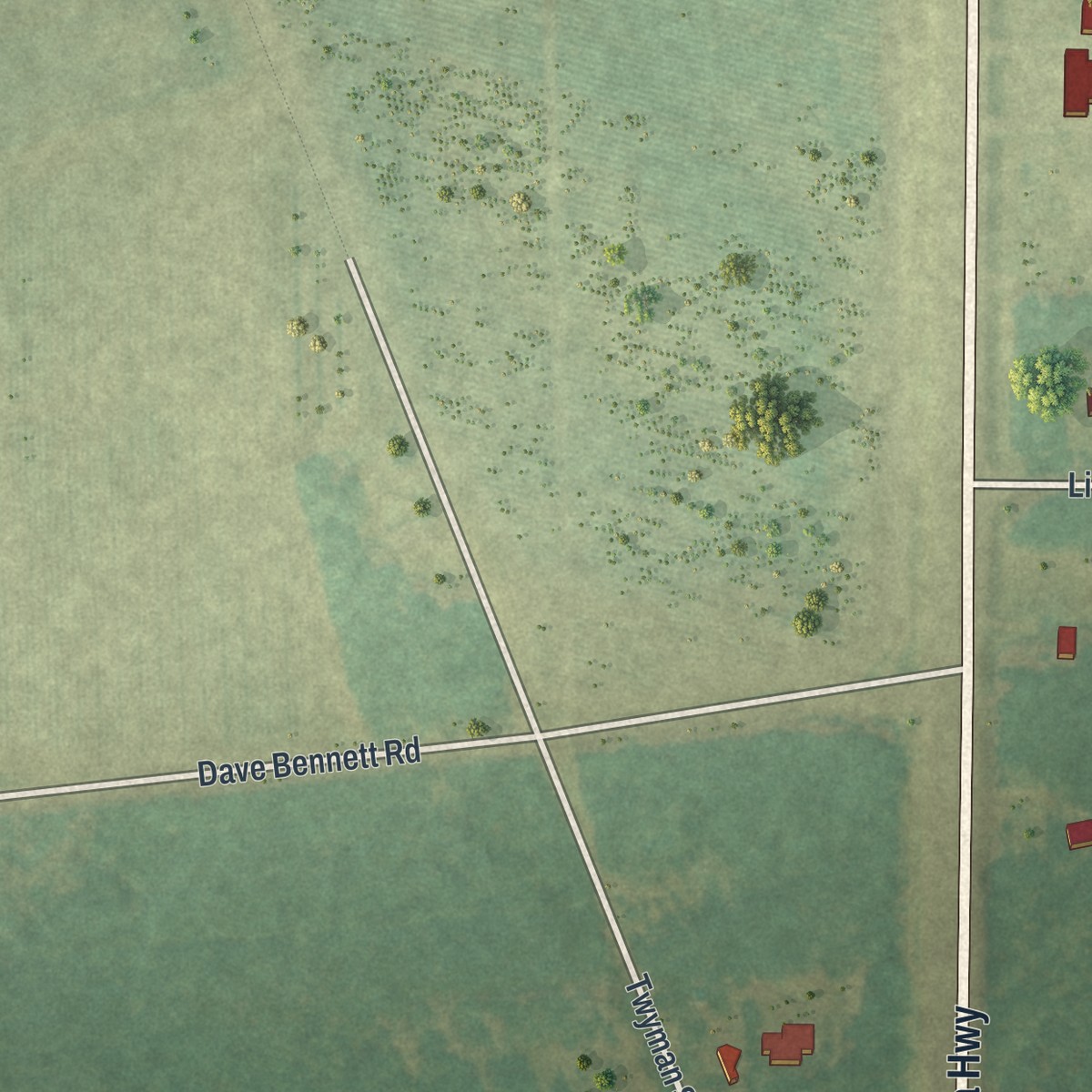 Second close-up of the map of Dixie Union, Georgia print showing more streets and buildings