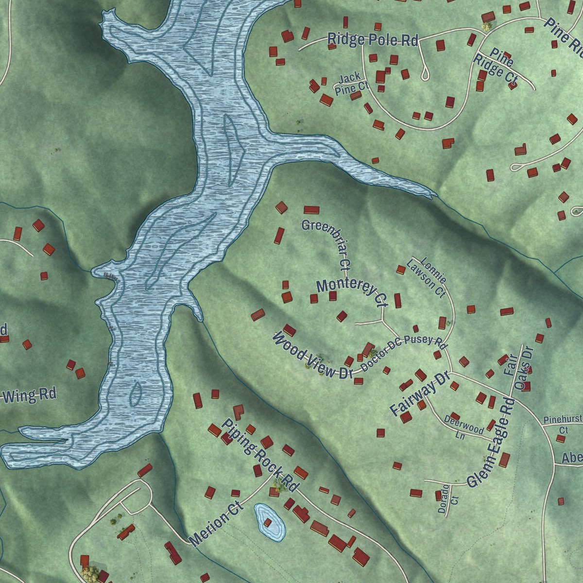 Second close-up of the map of Doe Valley, Kentucky print showing more streets and buildings