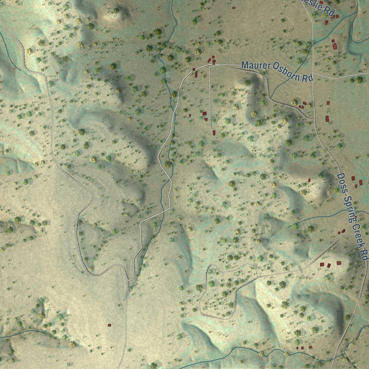 Second close-up of the map of Doss, Texas print showing more streets and buildings