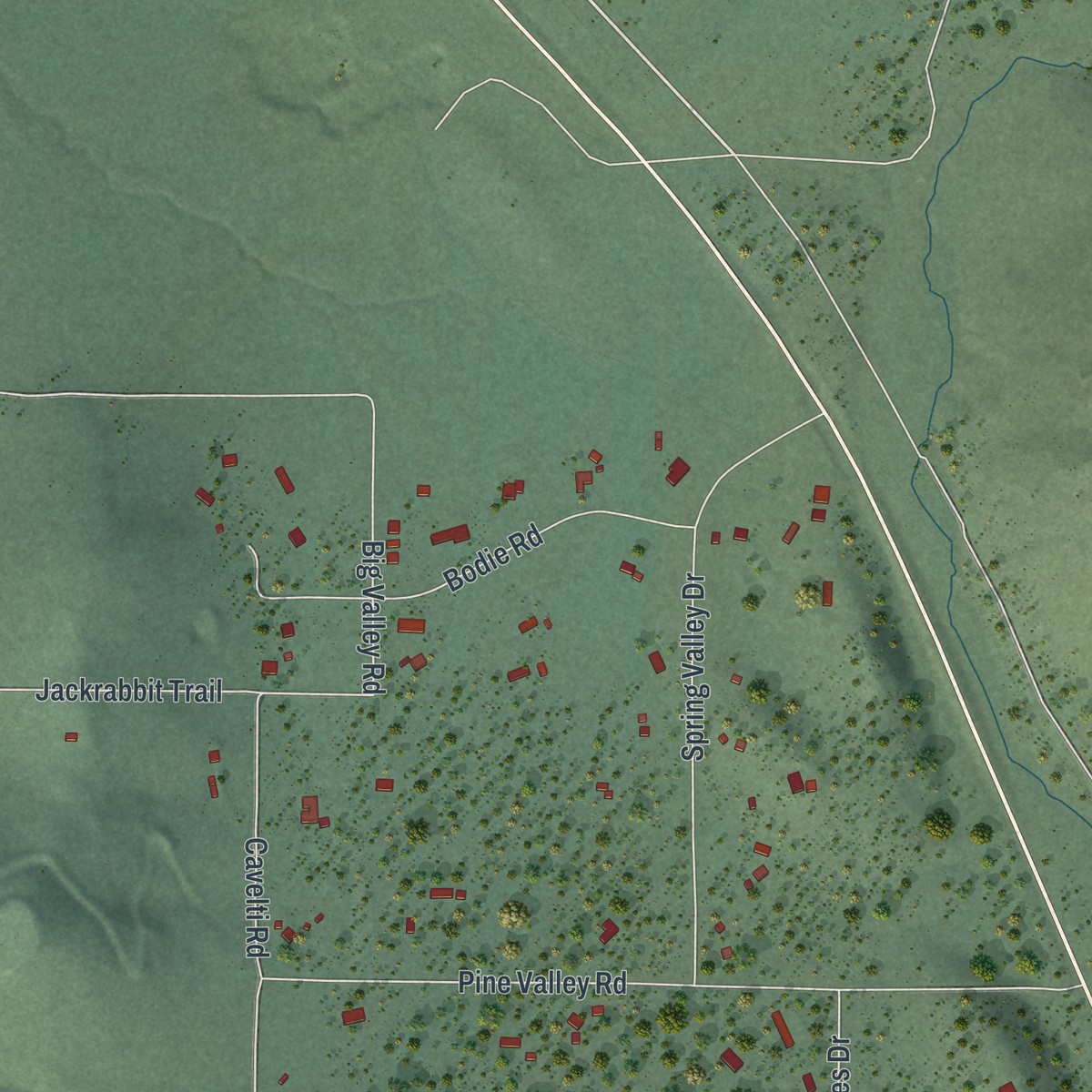 Second close-up of the map of Double Spring, Nevada print showing more streets and buildings