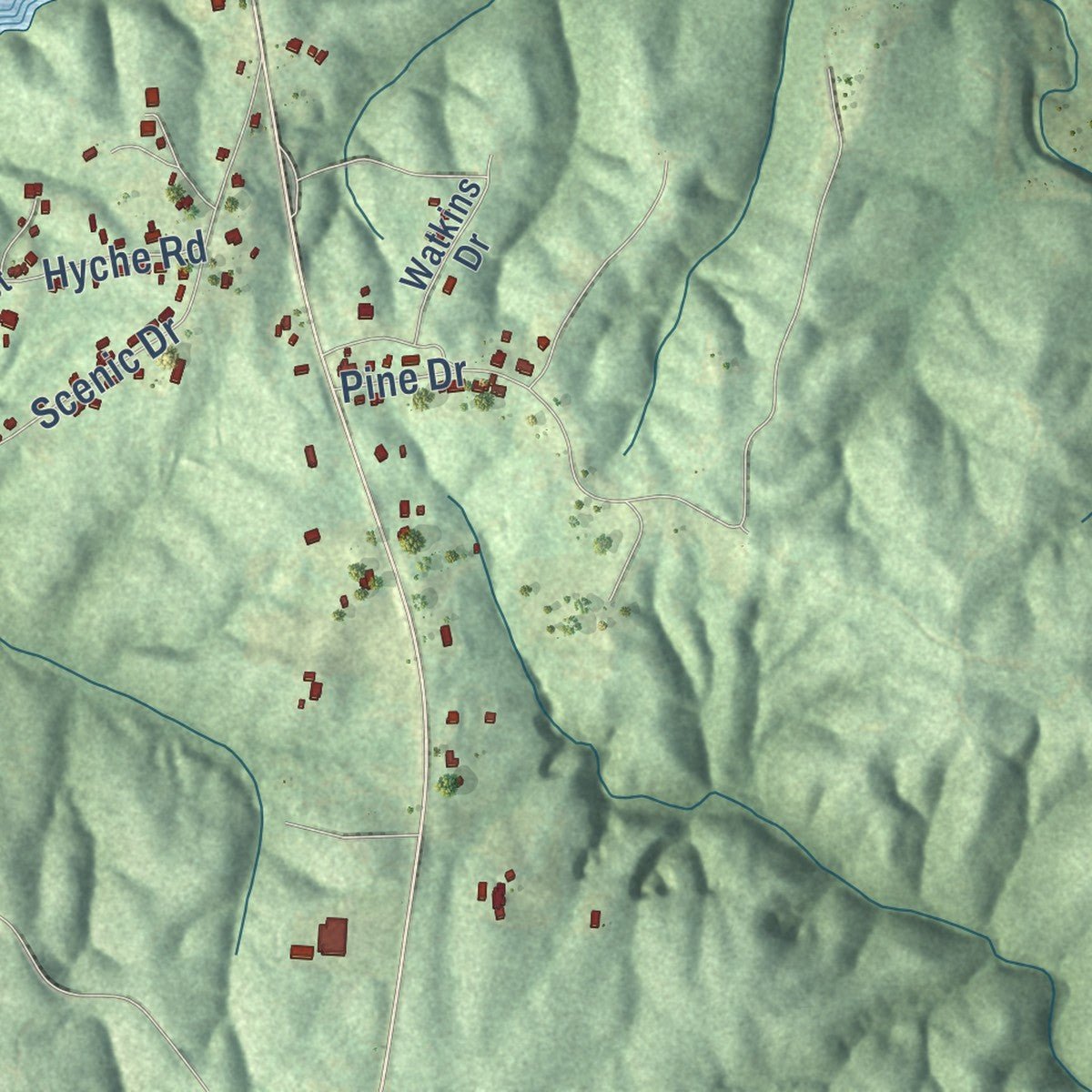 Second close-up of the map of Double Springs, Alabama print showing more streets and buildings