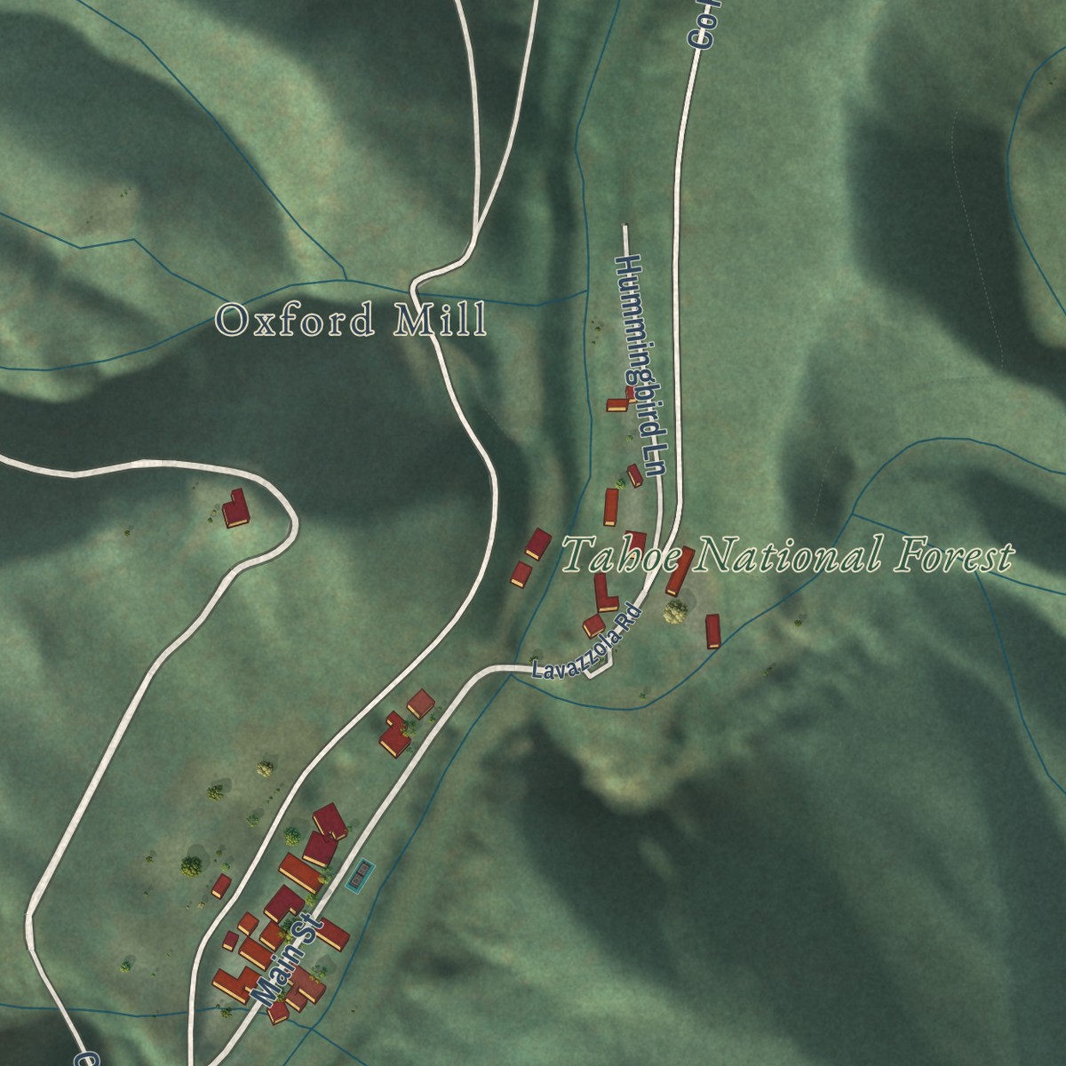 Second close-up of the map of Downieville, California print showing more streets and buildings