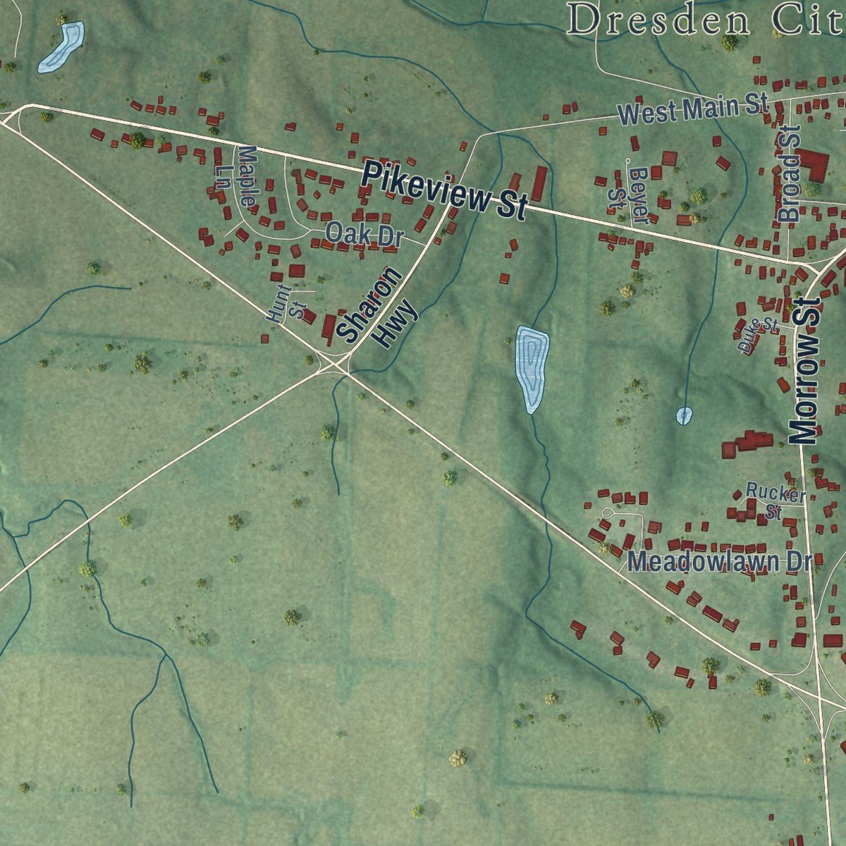 Second close-up of the map of Dresden, Tennessee print showing more streets and buildings