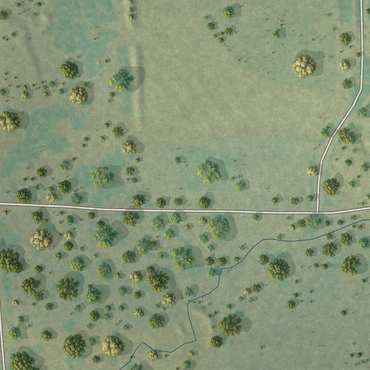Second close-up of the map of Driftwood, Texas print showing more streets and buildings