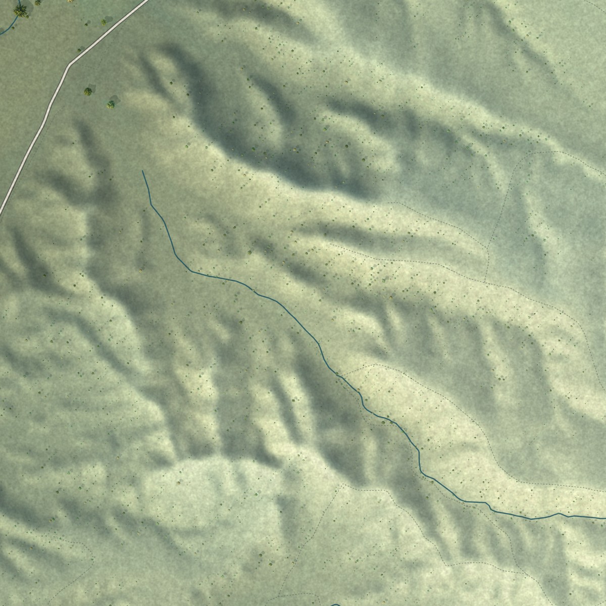 Second close-up of the map of Dry Valley, Nevada print showing more streets and buildings