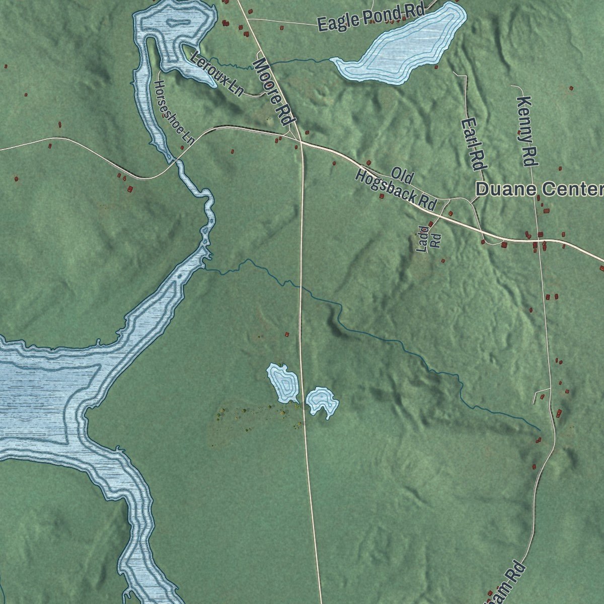Second close-up of the map of Duane, New York print showing more streets and buildings