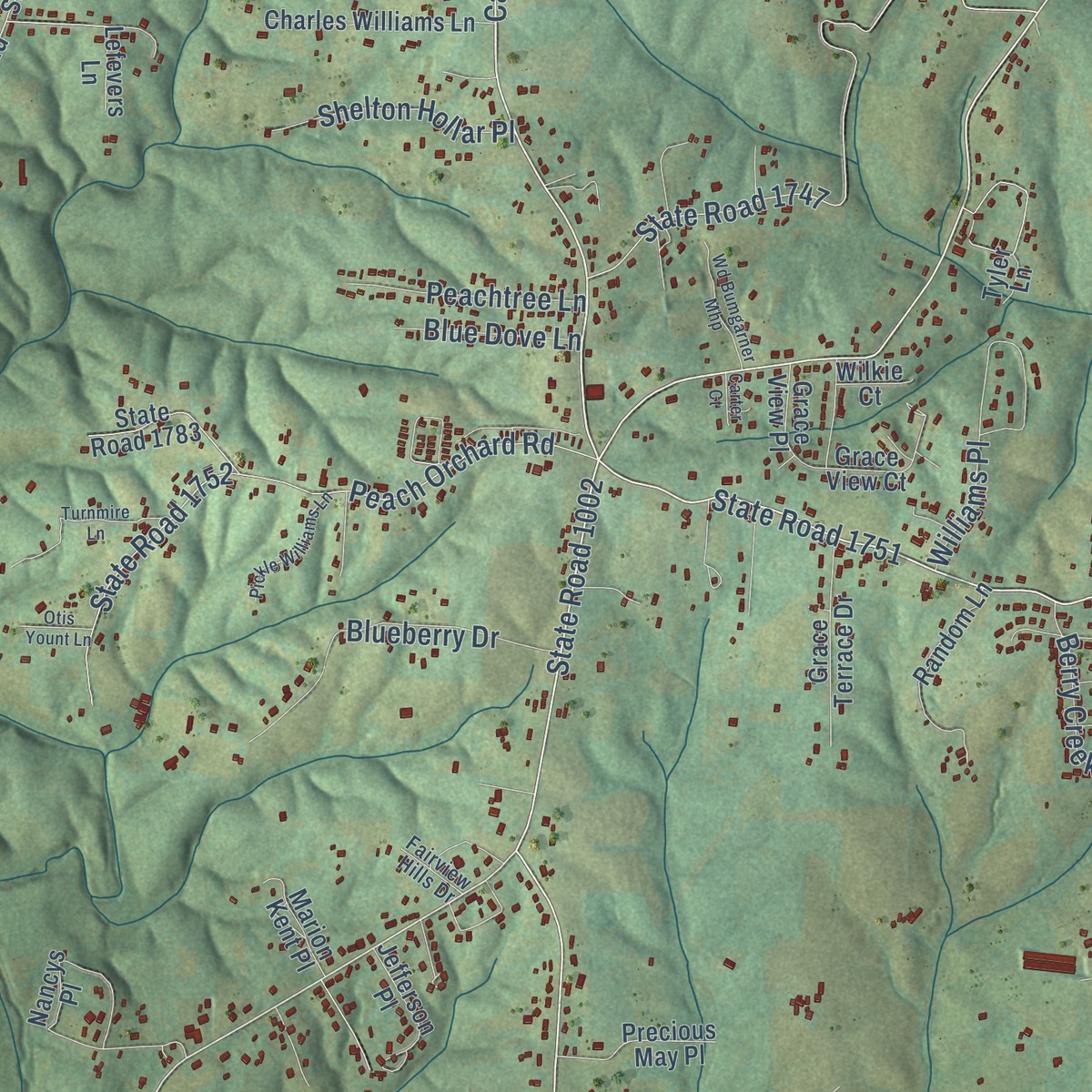 Second close-up of the map of Dudley Shoals, North Carolina print showing more streets and buildings