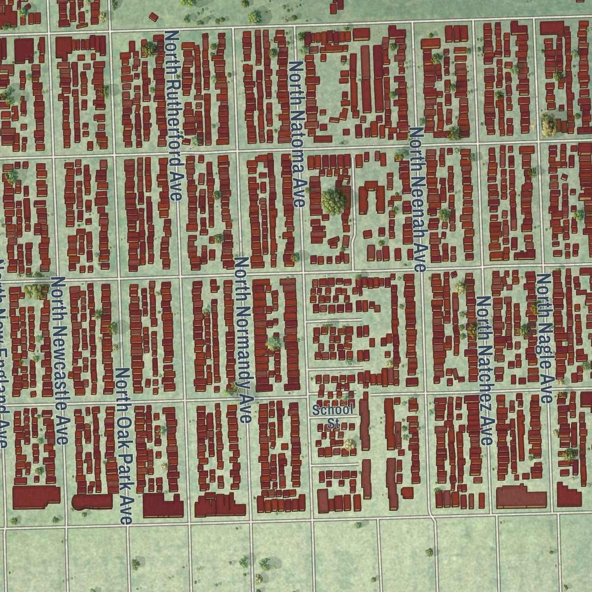 Second close-up of the map of Dunning, Illinois print showing more streets and buildings