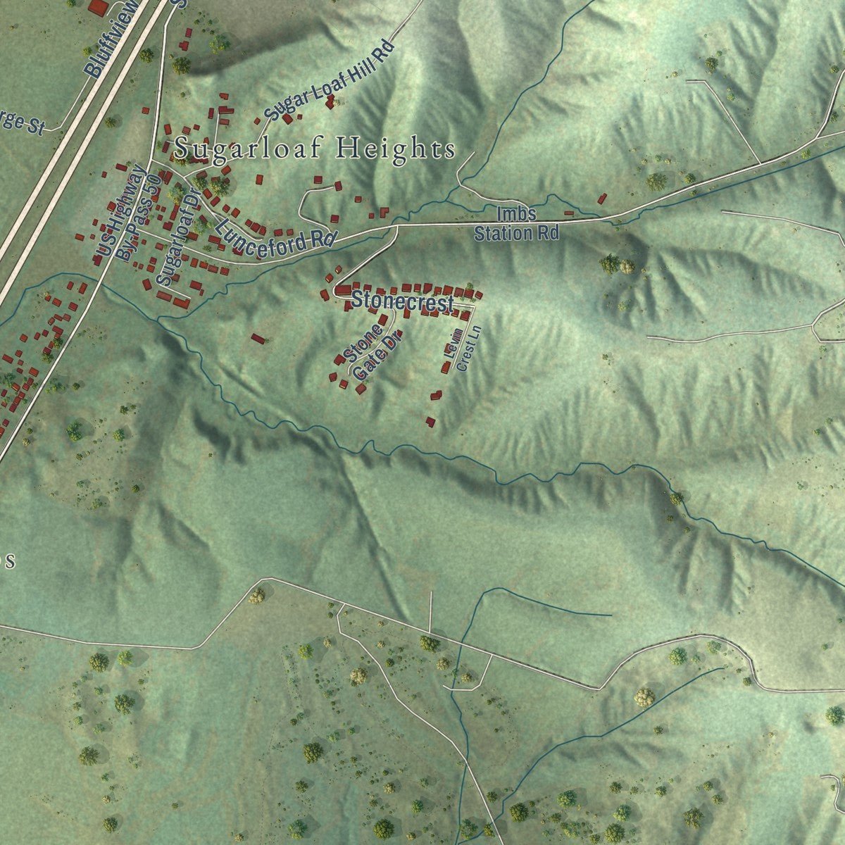 Second close-up of the map of Dupo, Illinois print showing more streets and buildings
