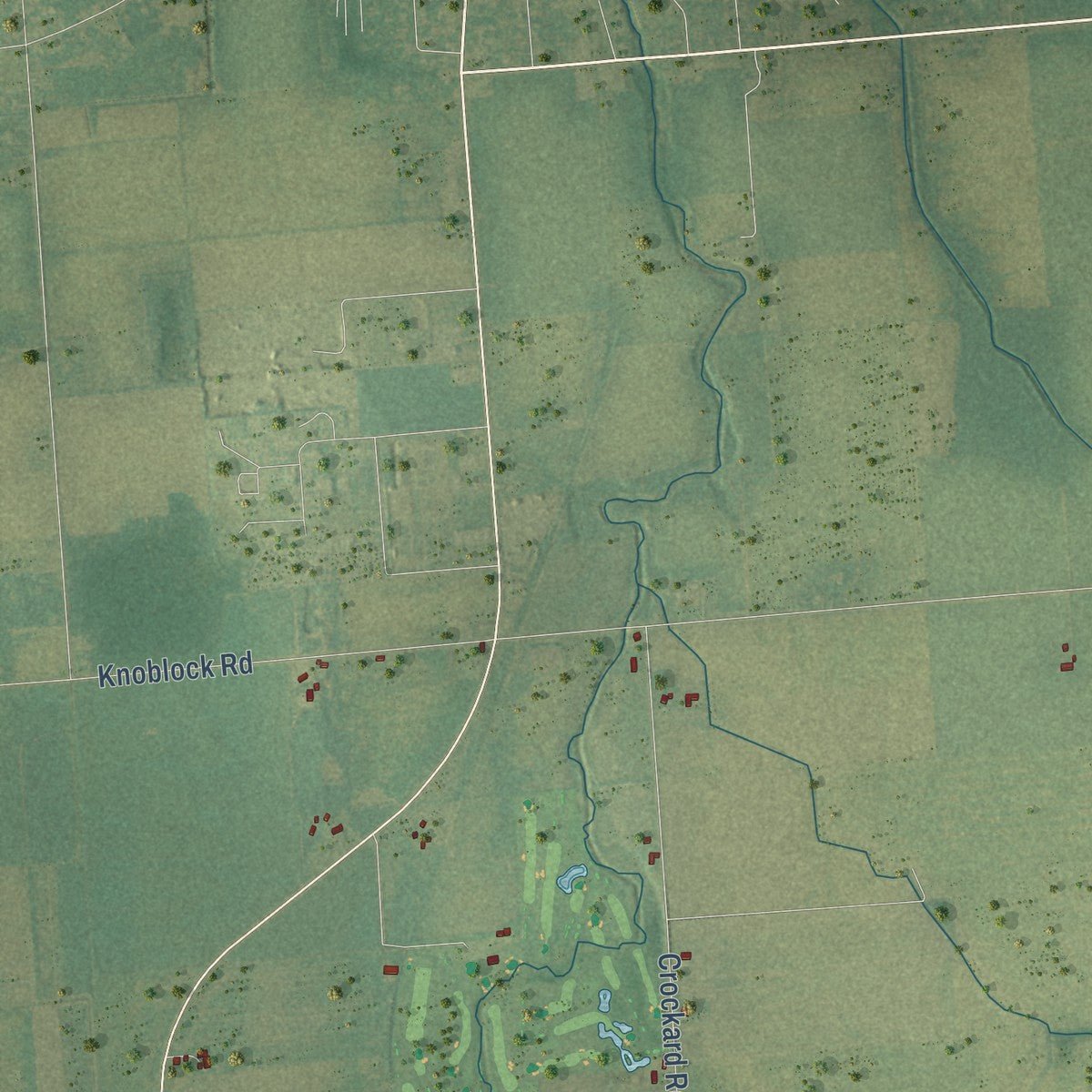 Second close-up of the map of Dwight, Michigan print showing more streets and buildings