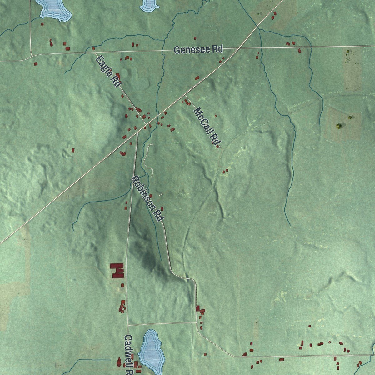 Second close-up of the map of Eagle, New York print showing more streets and buildings