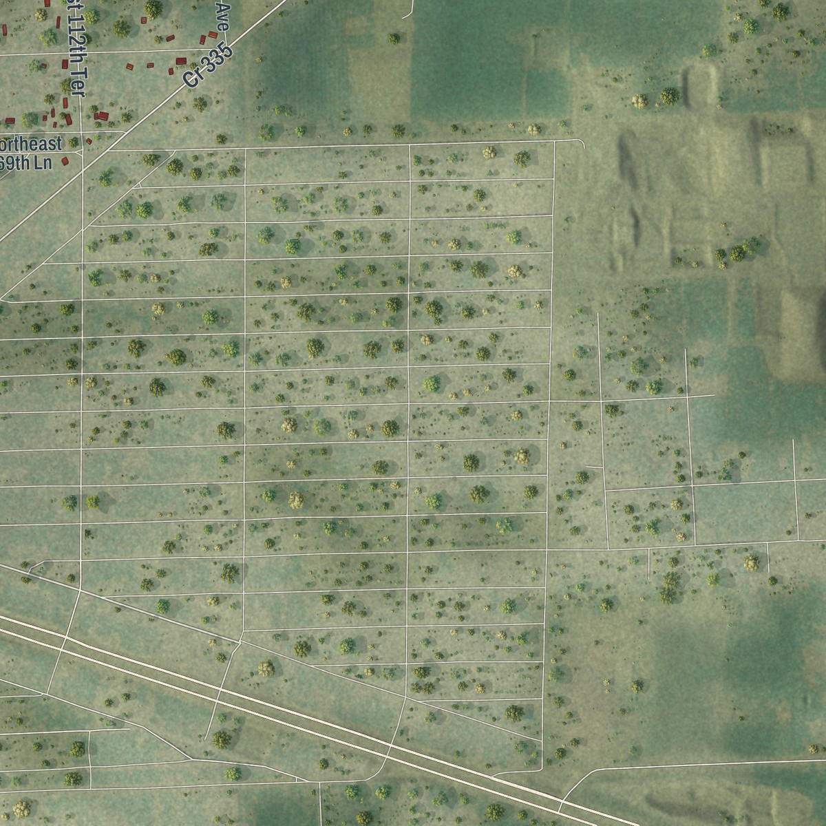 Second close-up of the map of East Bronson, Florida print showing more streets and buildings