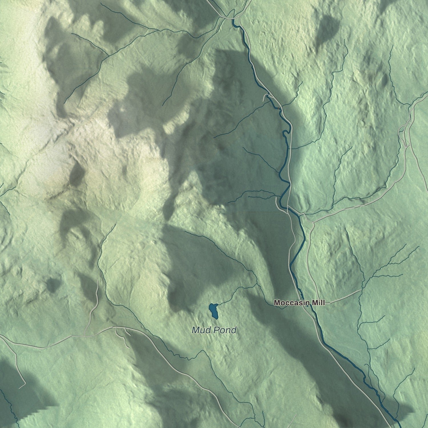Close-up of the map of East Haven, Vermont print showing terrain and local geography