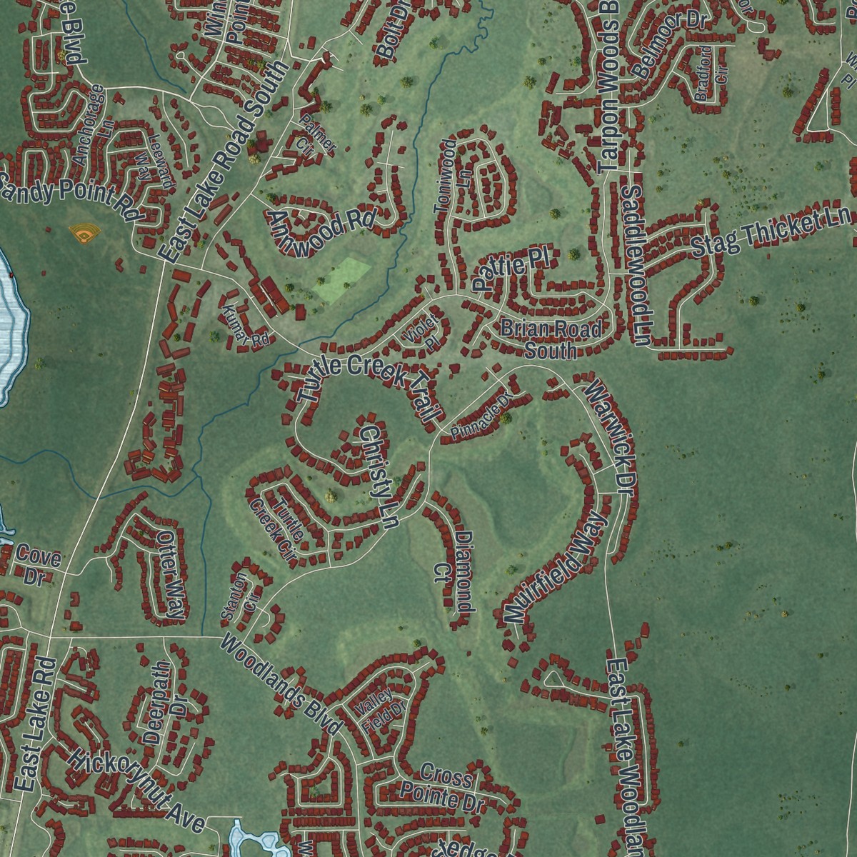Second close-up of the map of East Lake, Florida print showing more streets and buildings
