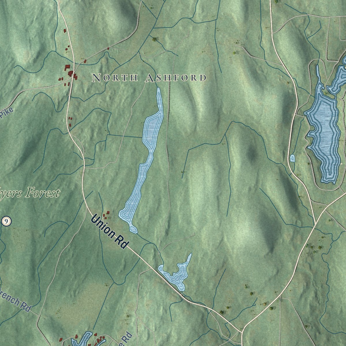 Second close-up of the map of Eastford, Connecticut print showing more streets and buildings
