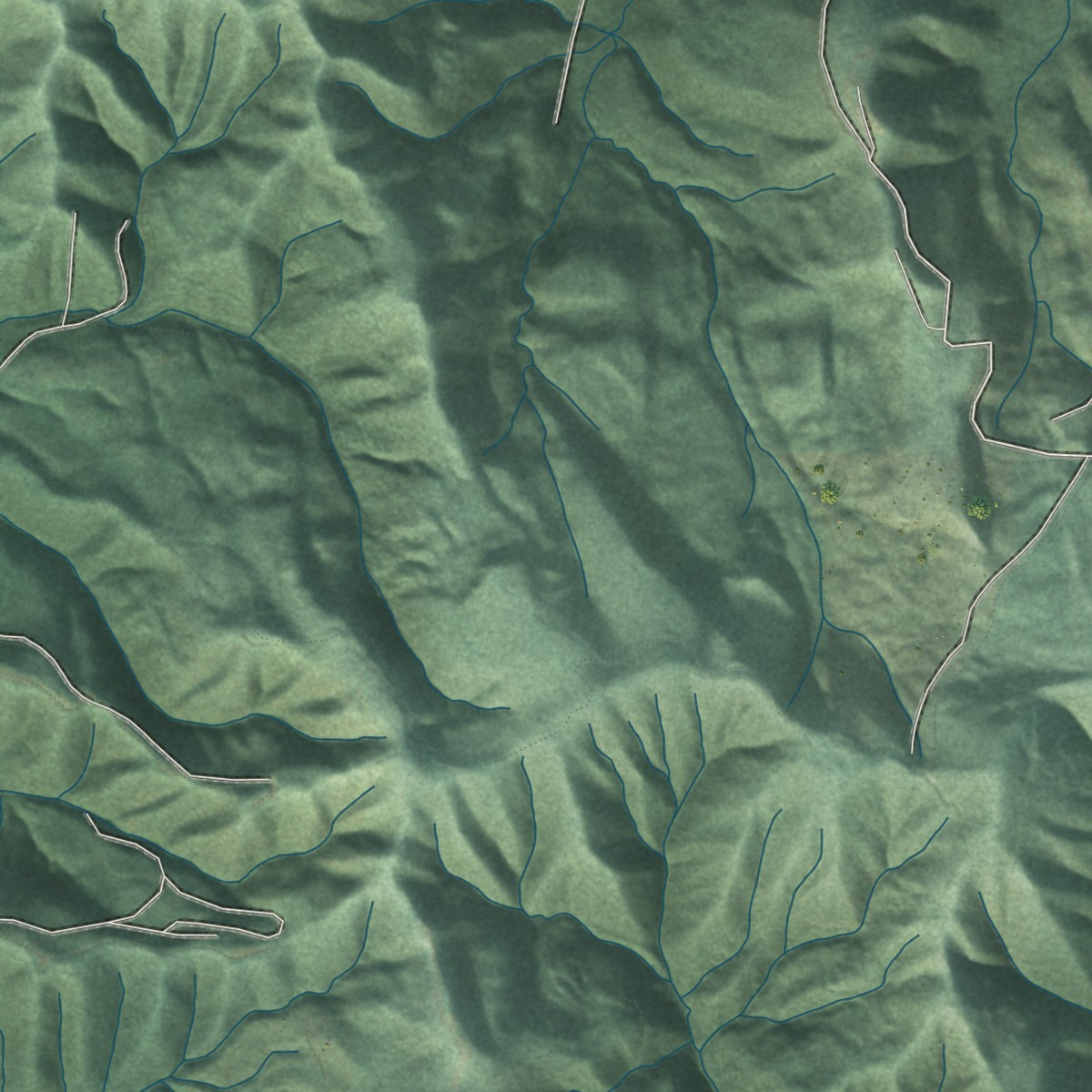 Second close-up of the map of Eddyville, Oregon print showing more streets and buildings