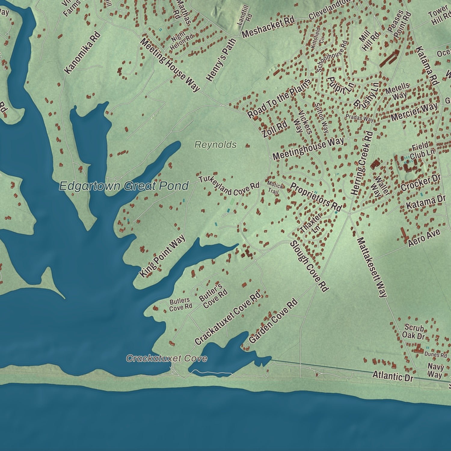 Close-up of the map of Edgartown, Massachusetts print showing terrain and local geography