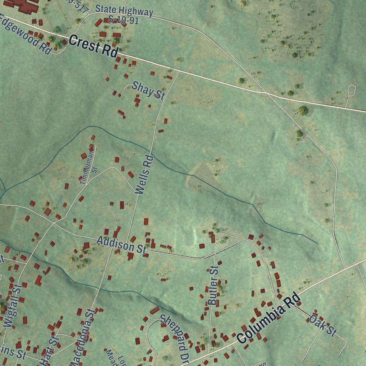 Second close-up of the map of Edgefield, South Carolina print showing more streets and buildings