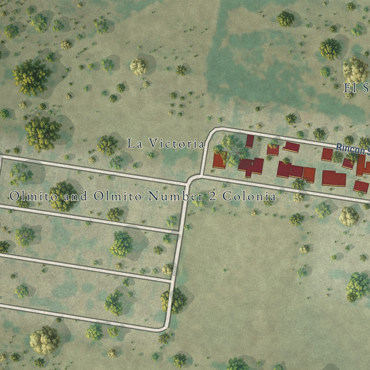 Second close-up of the map of El Socio, Texas print showing more streets and buildings
