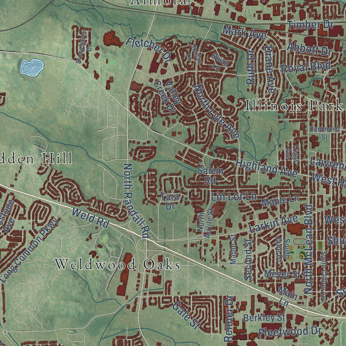 Second close-up of the map of Elgin, Illinois print showing more streets and buildings