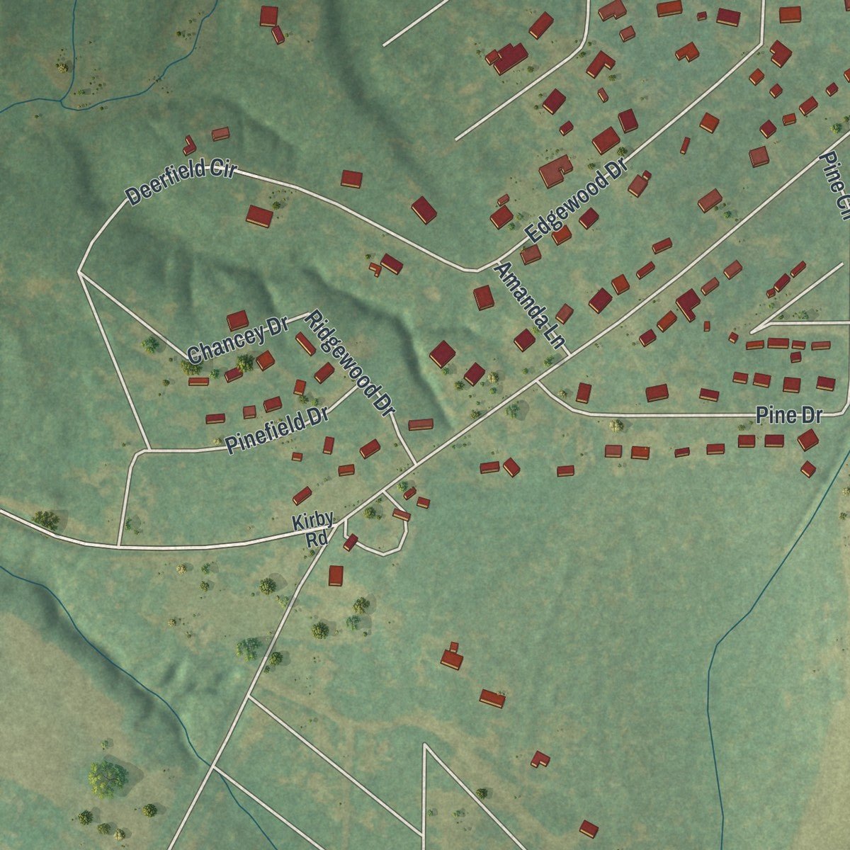 Second close-up of the map of Ellaville, Georgia print showing more streets and buildings
