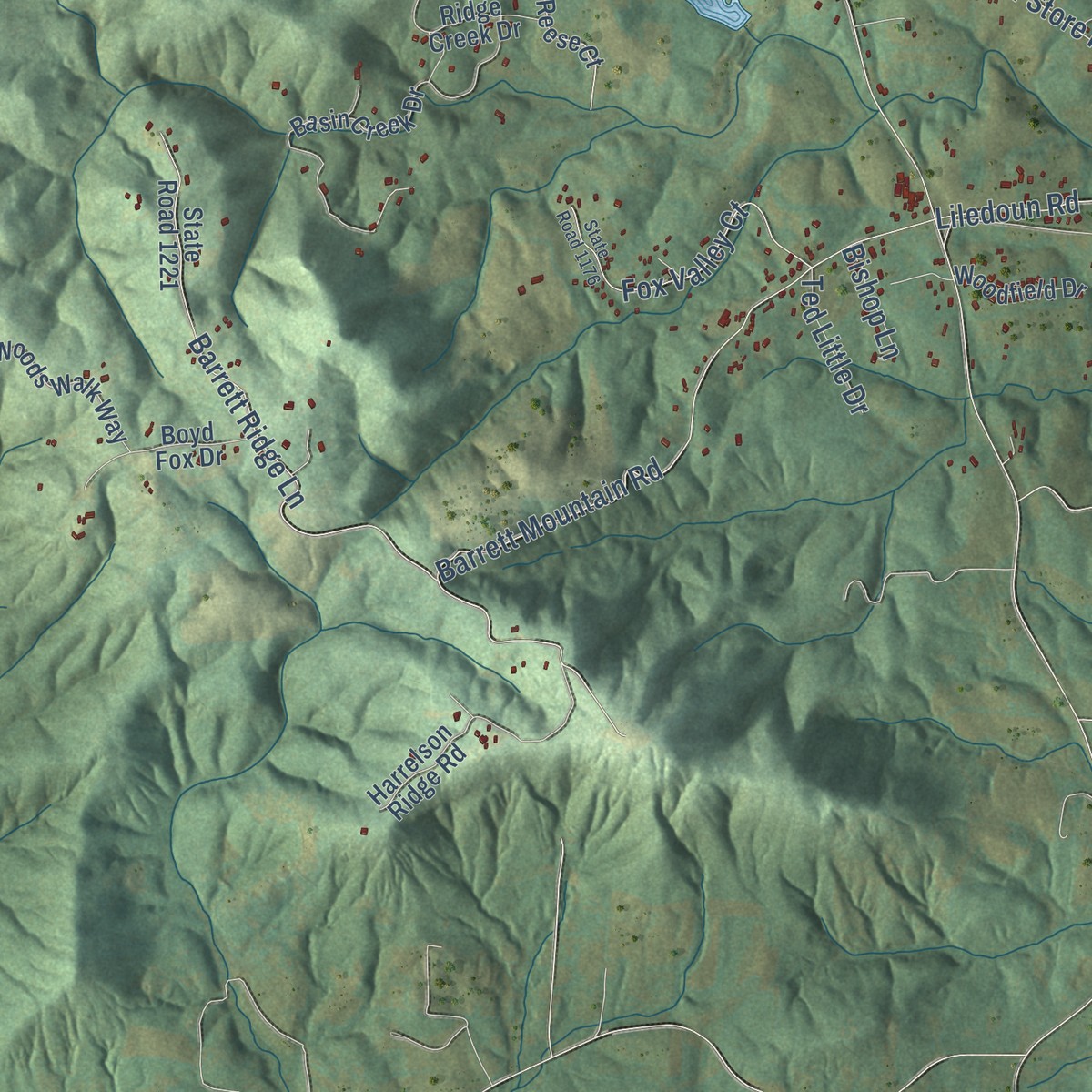 Second close-up of the map of Ellendale, North Carolina print showing more streets and buildings