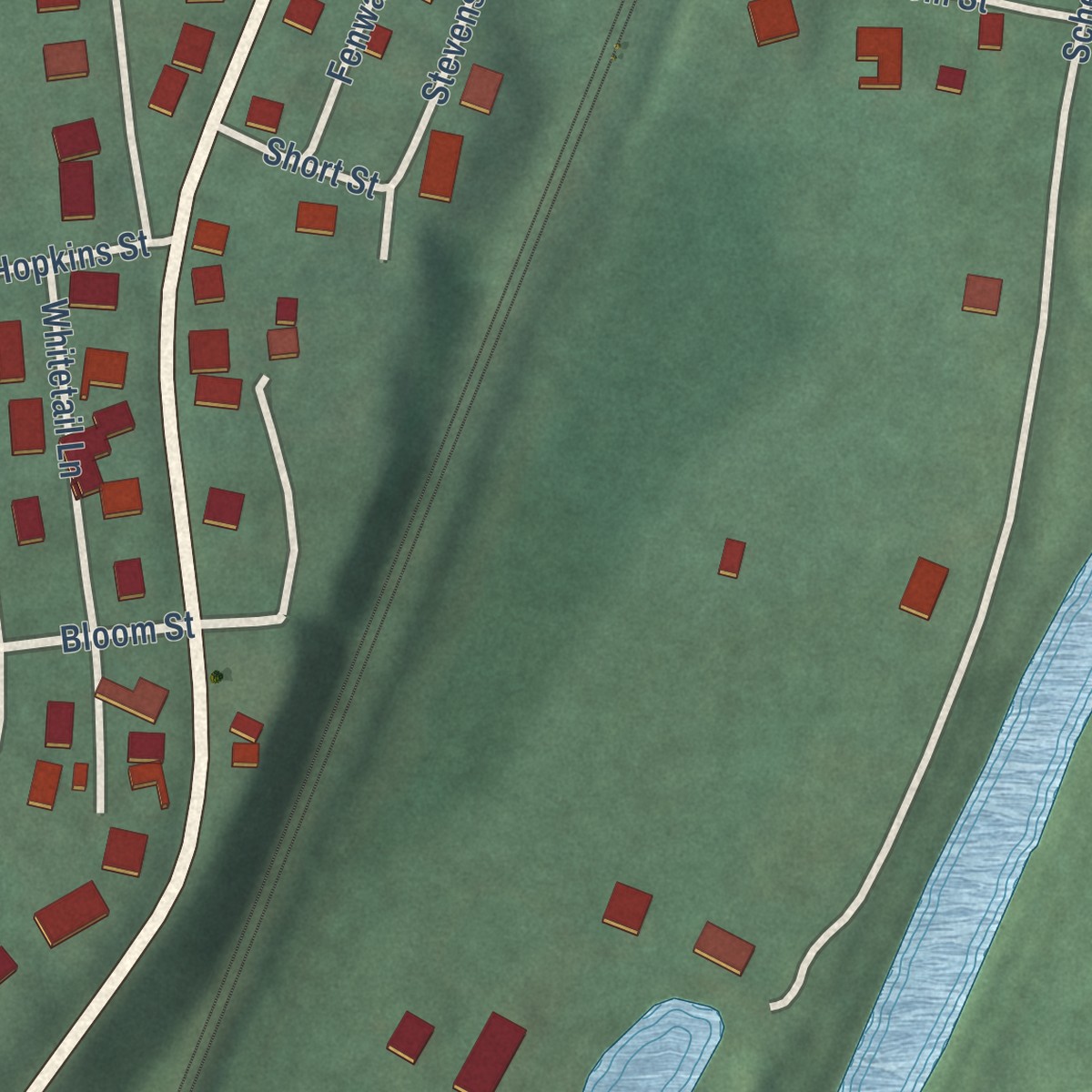 Second close-up of the map of Ellerslie, Maryland print showing more streets and buildings