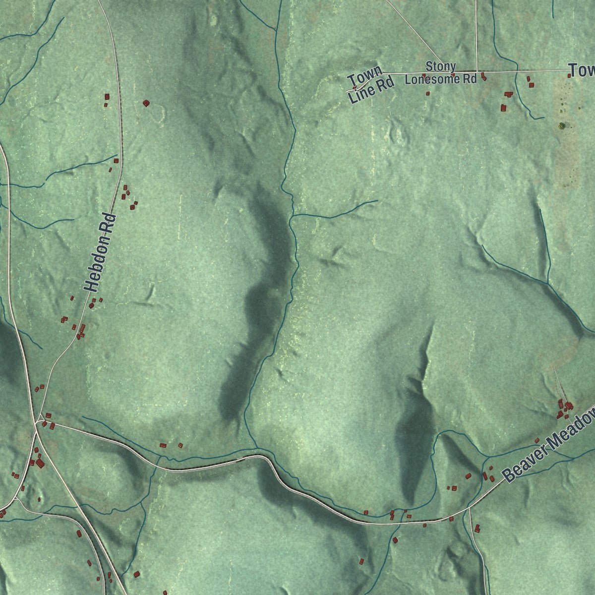 Second close-up of the map of Ellicottville, New York print showing more streets and buildings