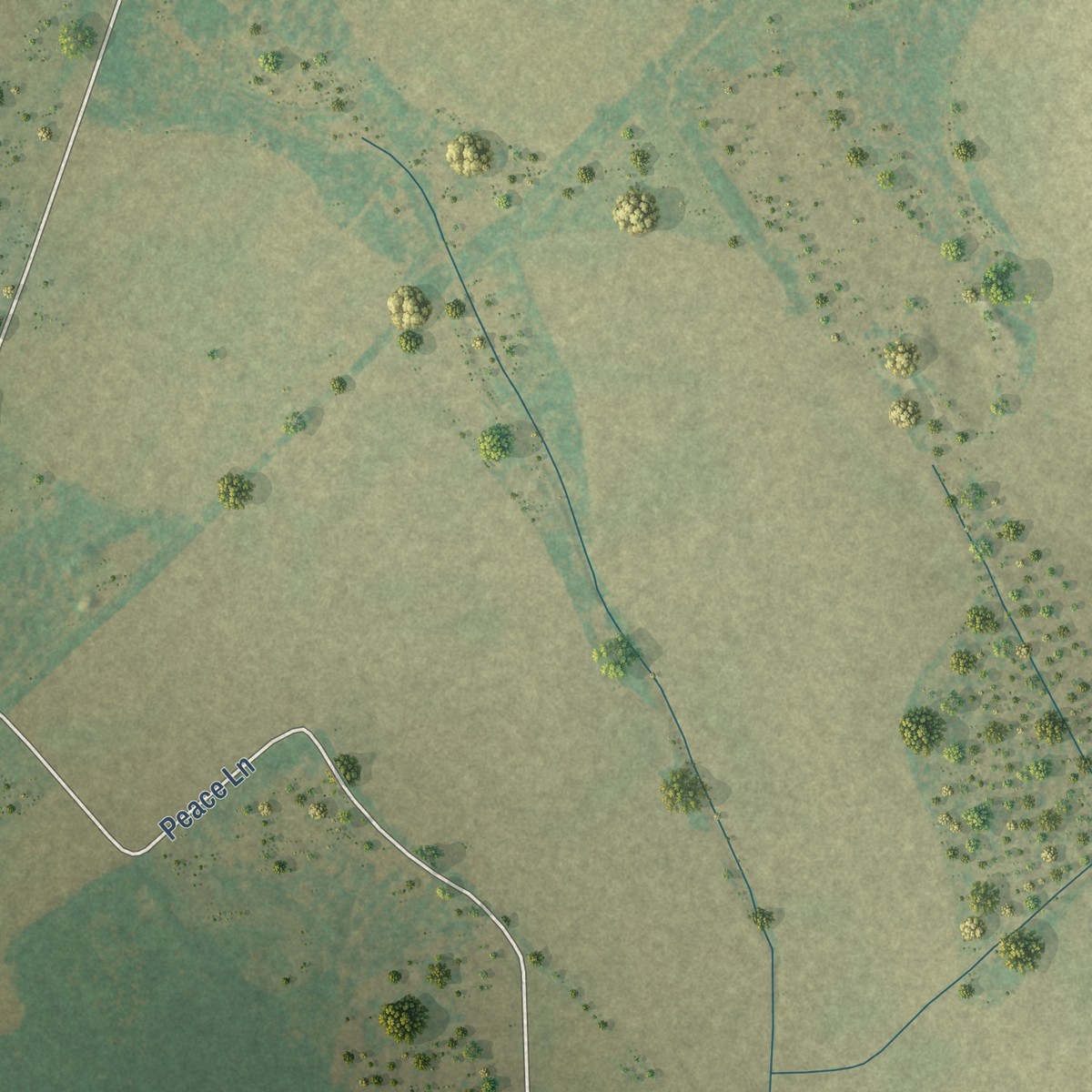Second close-up of the map of Elliott, South Carolina print showing more streets and buildings