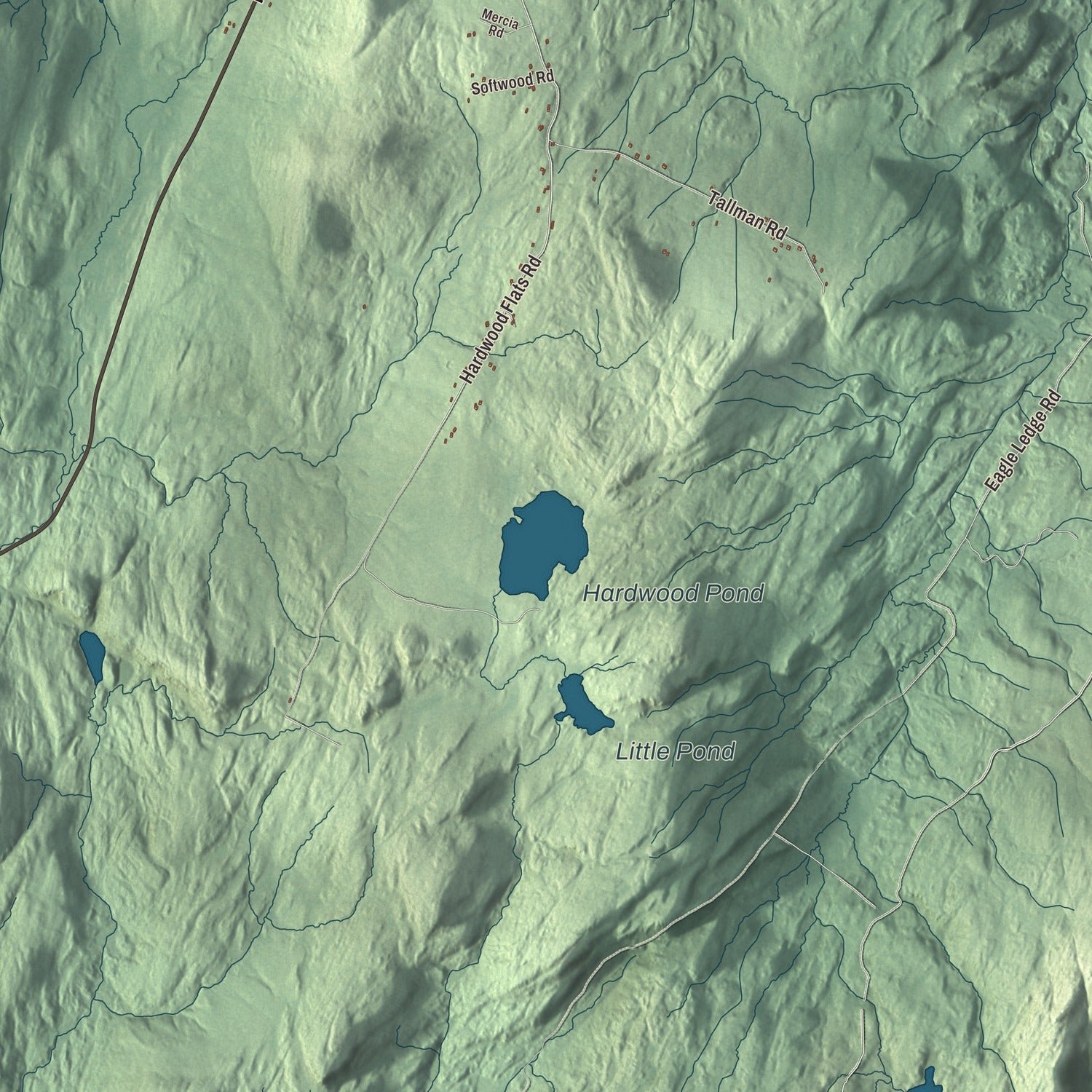 Close-up of the map of Elmore, Vermont print showing terrain and local geography