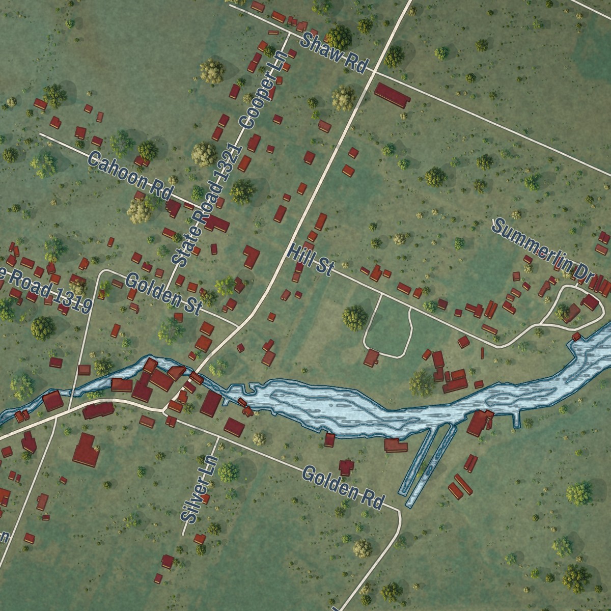 Second close-up of the map of Engelhard, North Carolina print showing more streets and buildings