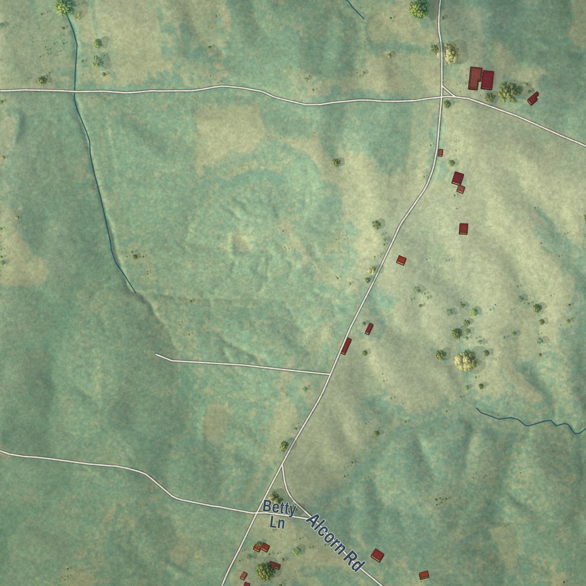 Second close-up of the map of Essary Springs, Tennessee print showing more streets and buildings