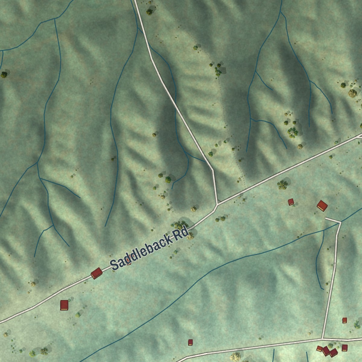 Second close-up of the map of Esterbrook, Wyoming print showing more streets and buildings