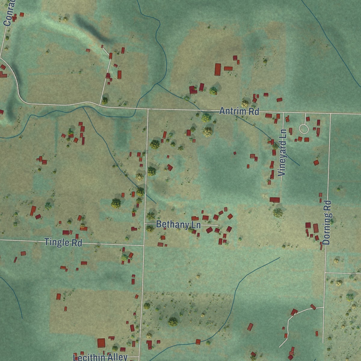 Second close-up of the map of Evaline, Washington print showing more streets and buildings