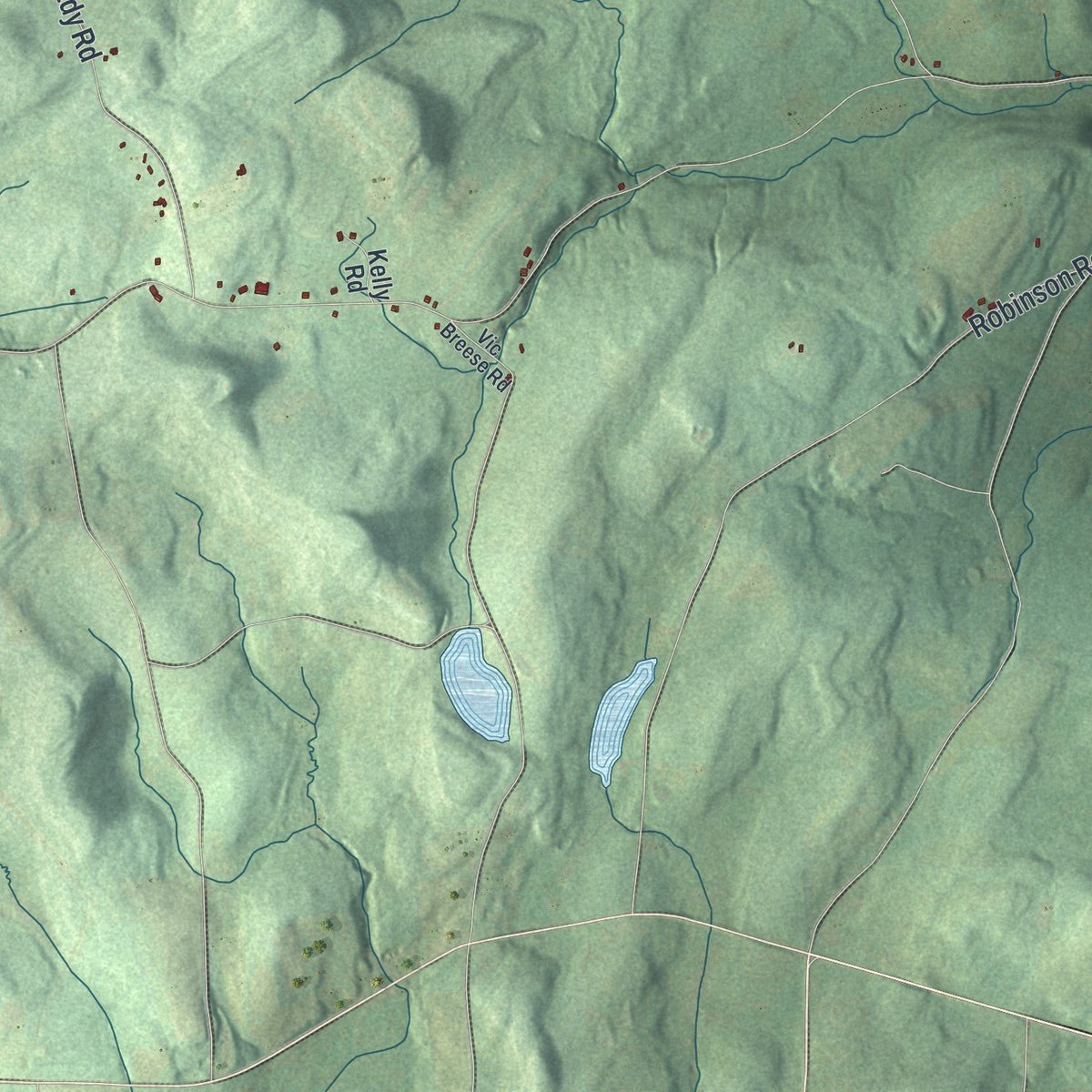 Second close-up of the map of Exeter, New York print showing more streets and buildings