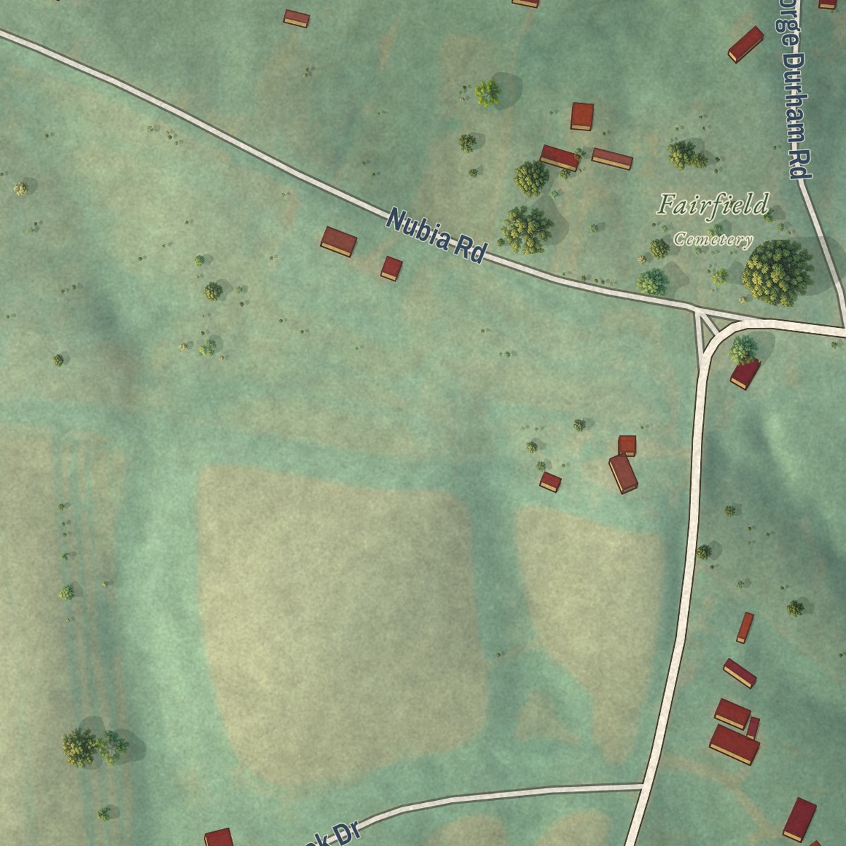 Second close-up of the map of Fairfield, Tennessee print showing more streets and buildings