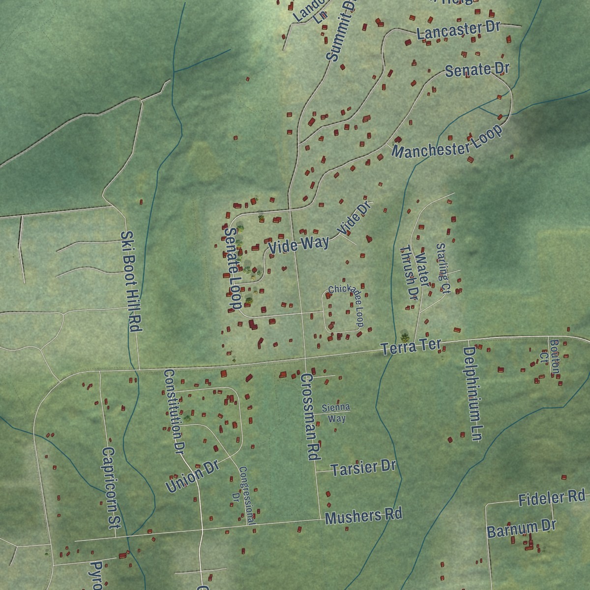 Second close-up of the map of Farmers Loop, Alaska print showing more streets and buildings