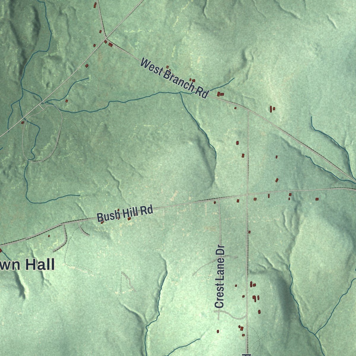 Second close-up of the map of Farmersville, New York print showing more streets and buildings