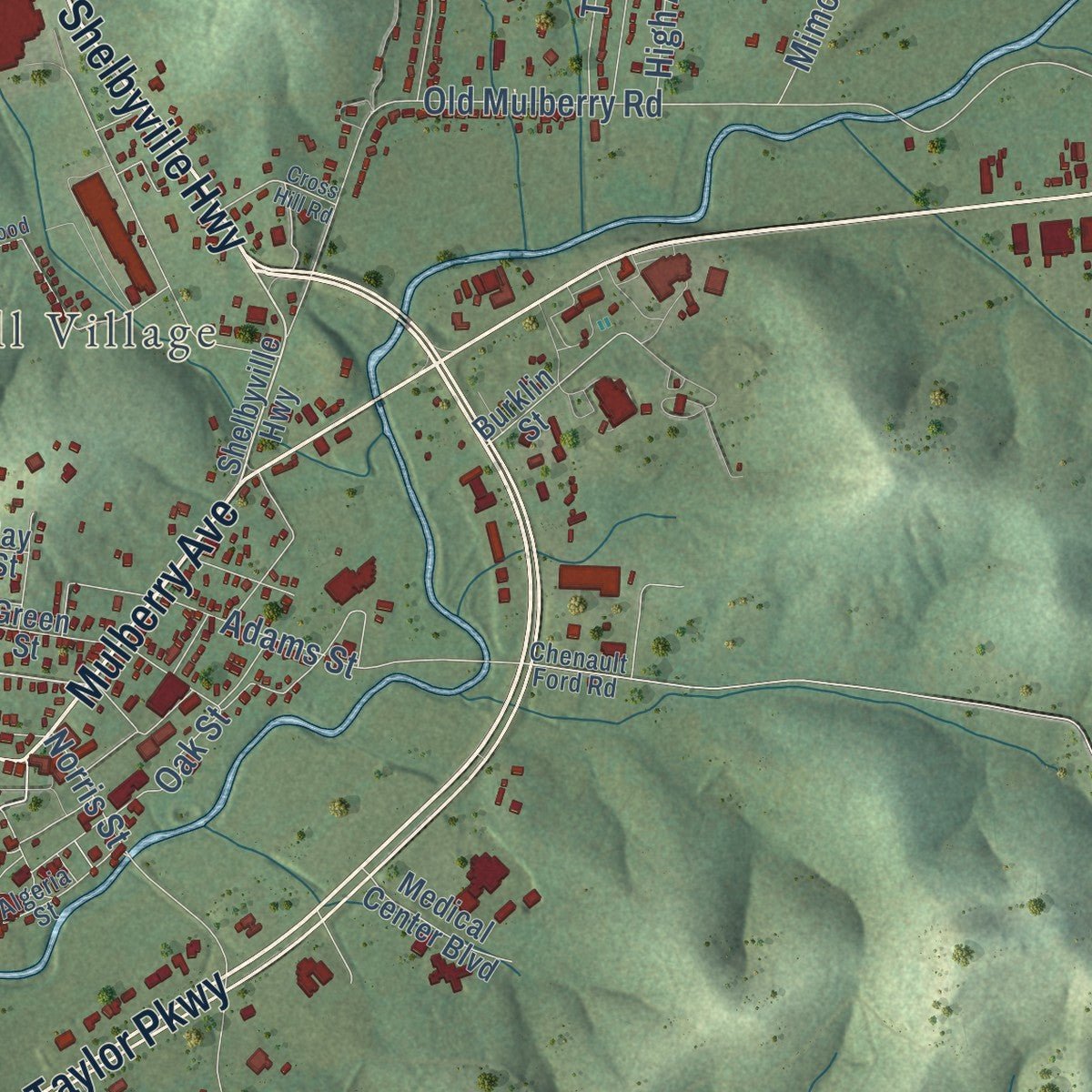 Second close-up of the map of Fayetteville, Tennessee print showing more streets and buildings