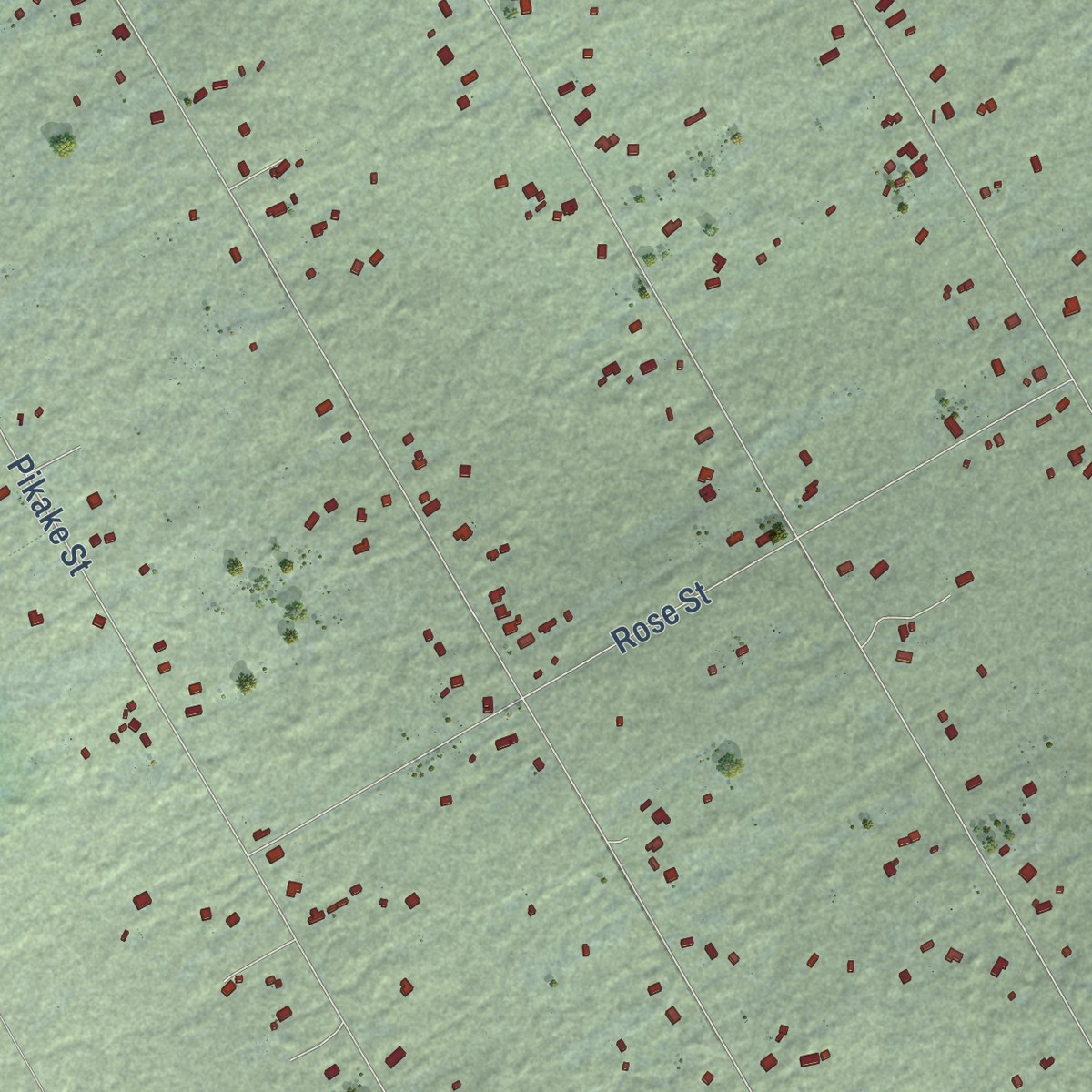 Second close-up of the map of Fern Acres, Hawaii print showing more streets and buildings
