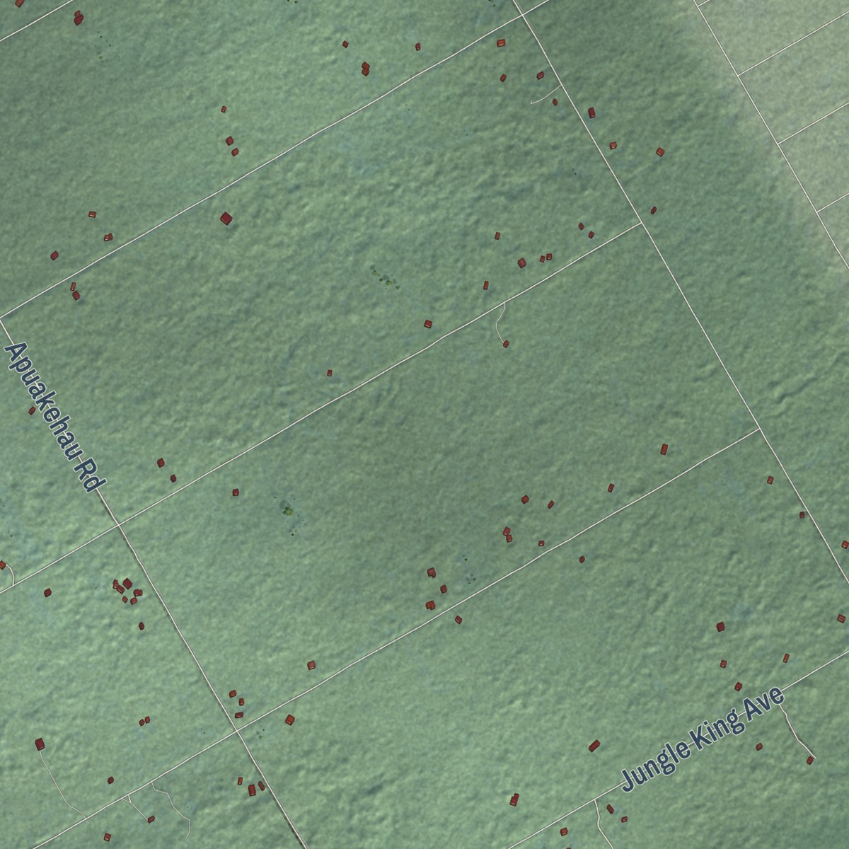 Second close-up of the map of Fern Forest, Hawaii print showing more streets and buildings