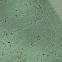 Second close-up of the map of Fern Forest, Hawaii print showing more streets and buildings