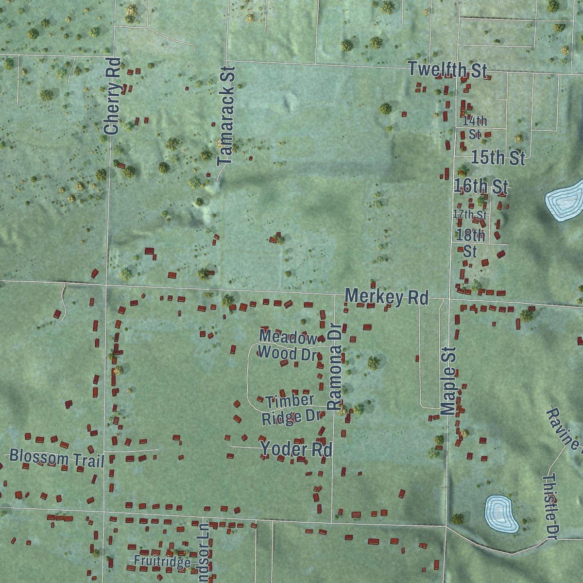 Second close-up of the map of Filer, Michigan print showing more streets and buildings