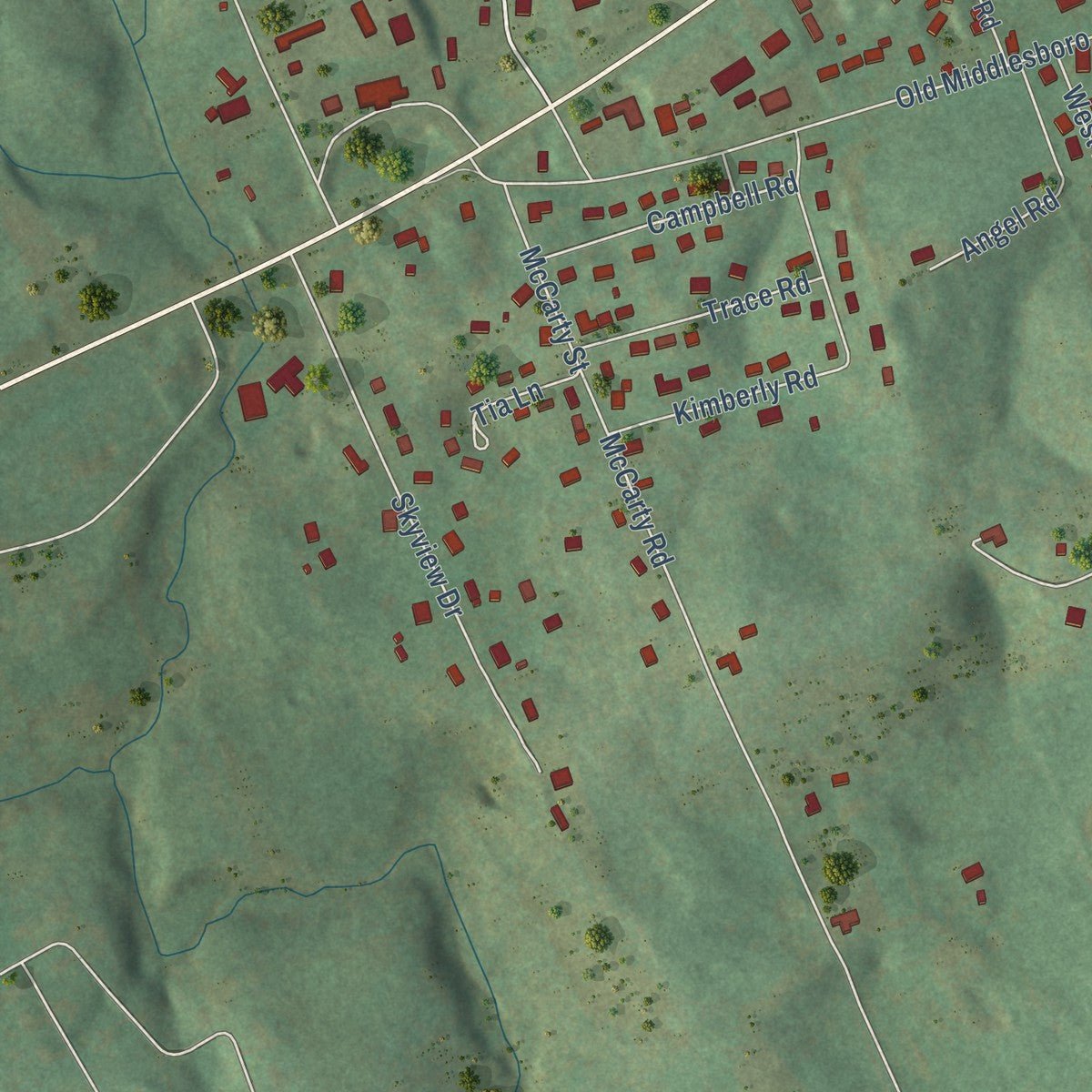 Second close-up of the map of Fincastle, Tennessee print showing more streets and buildings