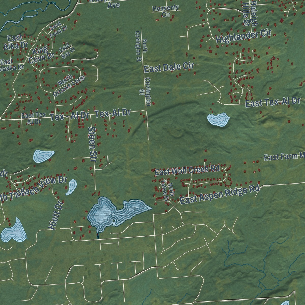 Second close-up of the map of Fishhook, Alaska print showing more streets and buildings