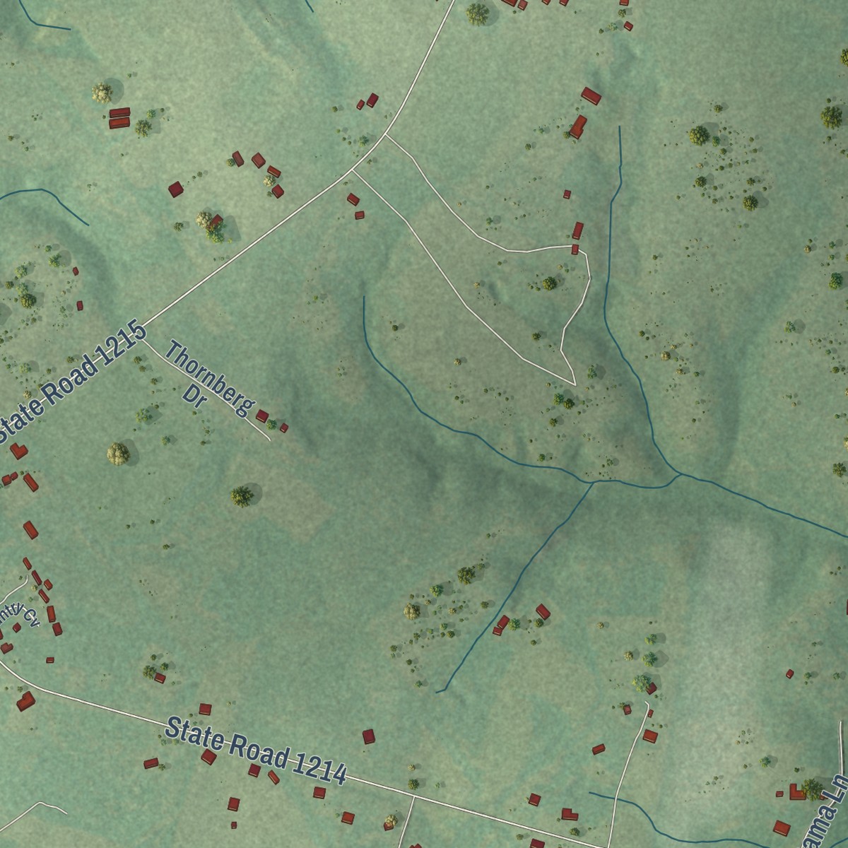 Second close-up of the map of Five Points, North Carolina print showing more streets and buildings