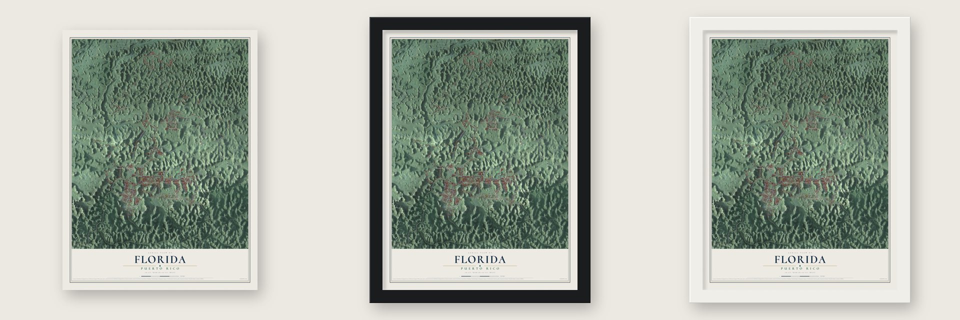 Florida, Puerto Rico map unframed, in a black wood frame and in a white wood frame