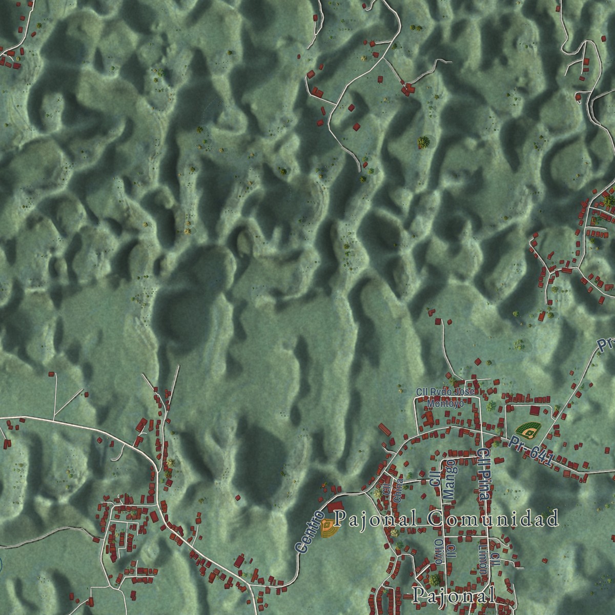 Second close-up of the map of Florida, Puerto Rico print showing more streets and buildings