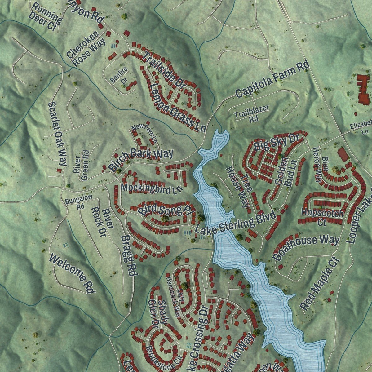 Second close-up of the map of Flowery Branch, Georgia print showing more streets and buildings