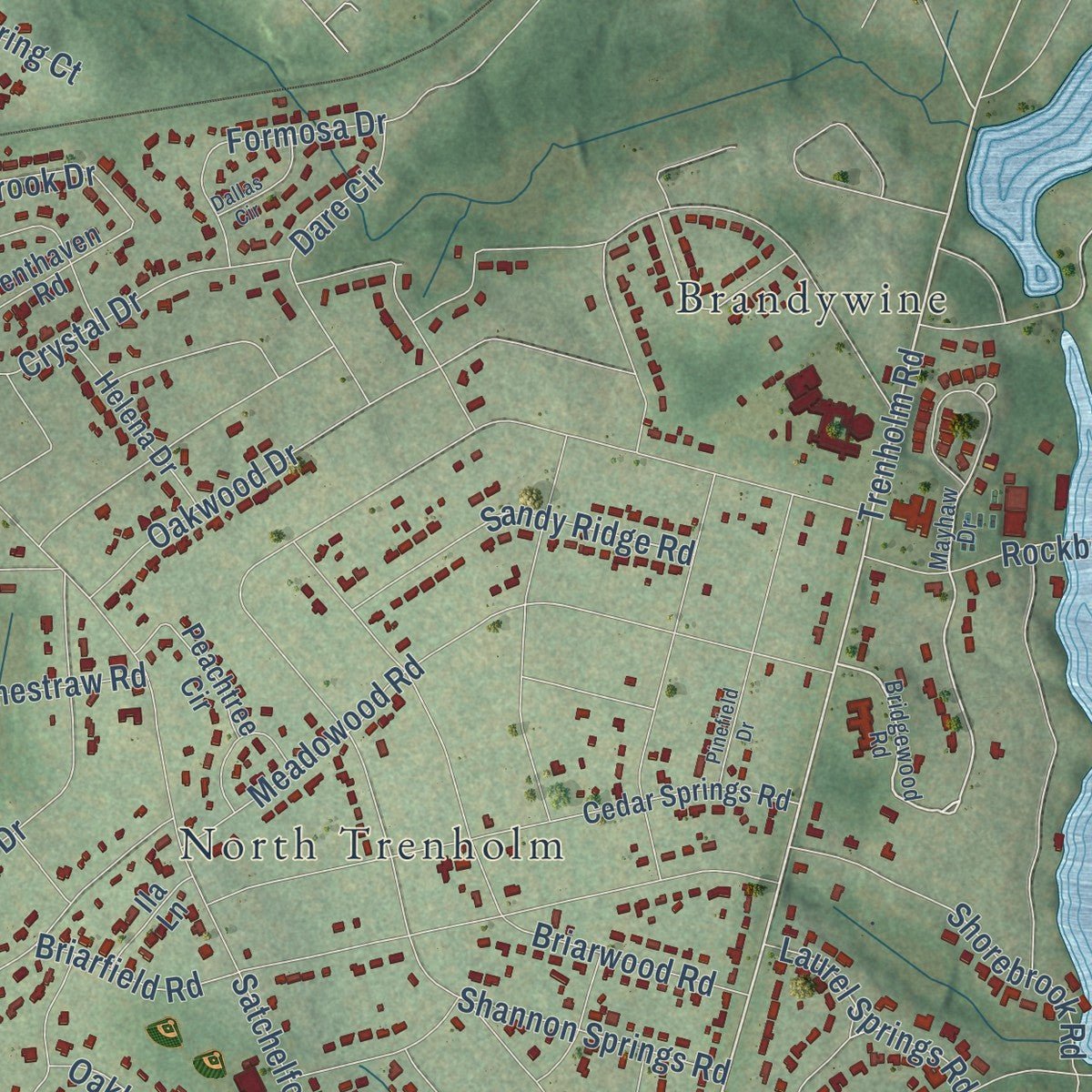 Second close-up of the map of Forest Acres, South Carolina print showing more streets and buildings